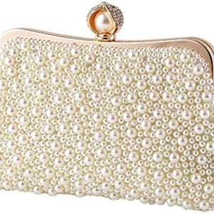 Beaded Clutch Purse T6